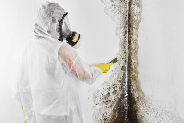 Best Crawl Space Mold Removal  in Douglas, WY